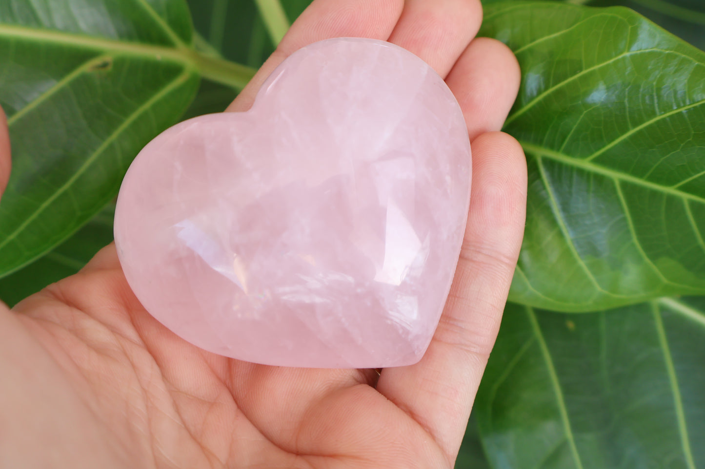 Rose Quartz - Heart