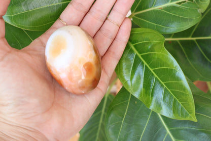 Carnelian ~palm stone~