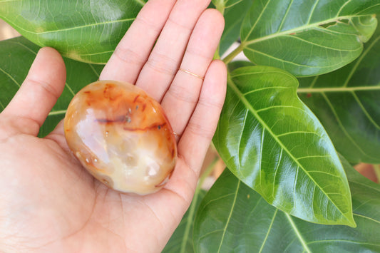 Carnelian ~palm stone~