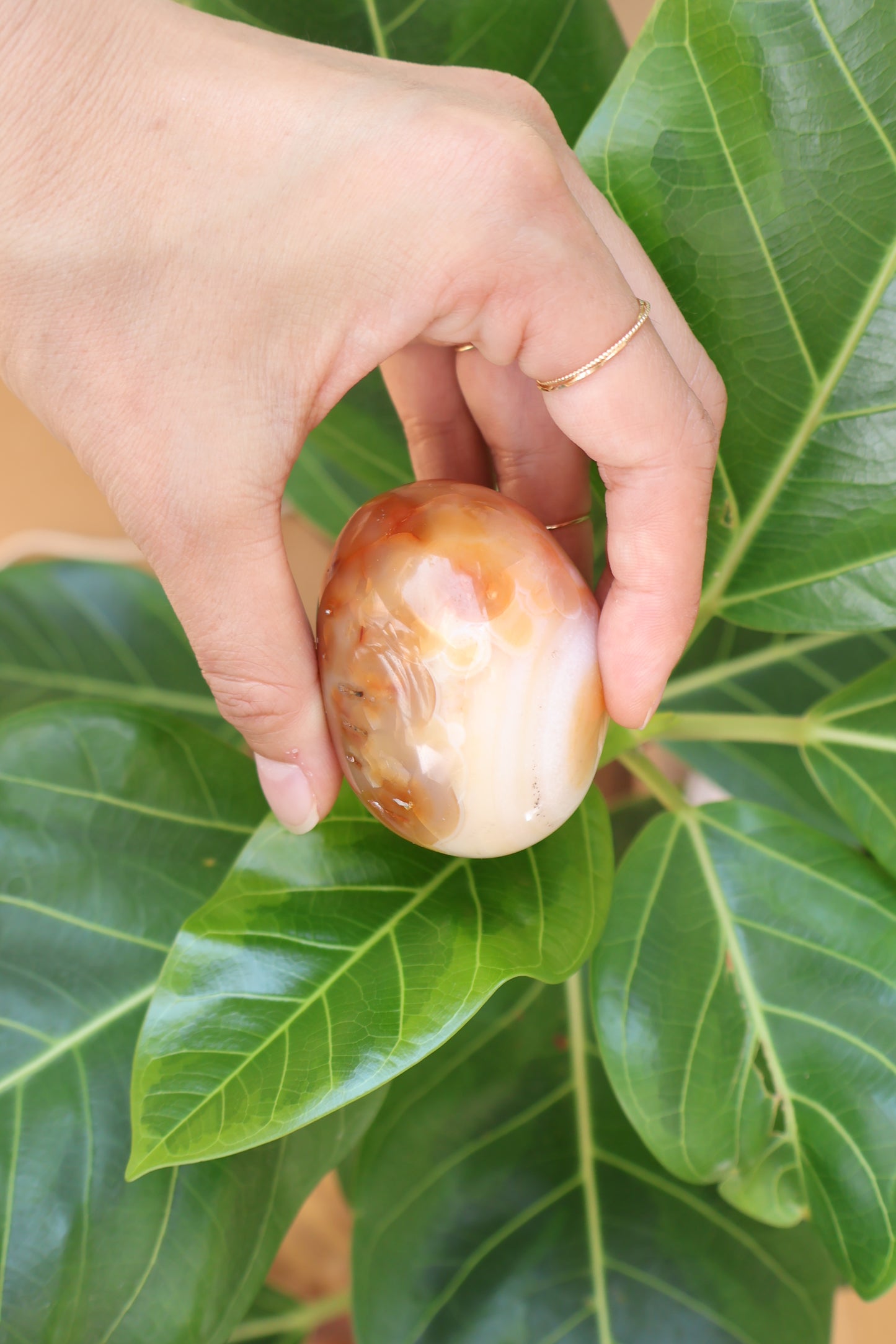 Carnelian ~palm stone~