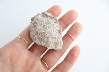 Spirit Flower Geode ~Shell shape~