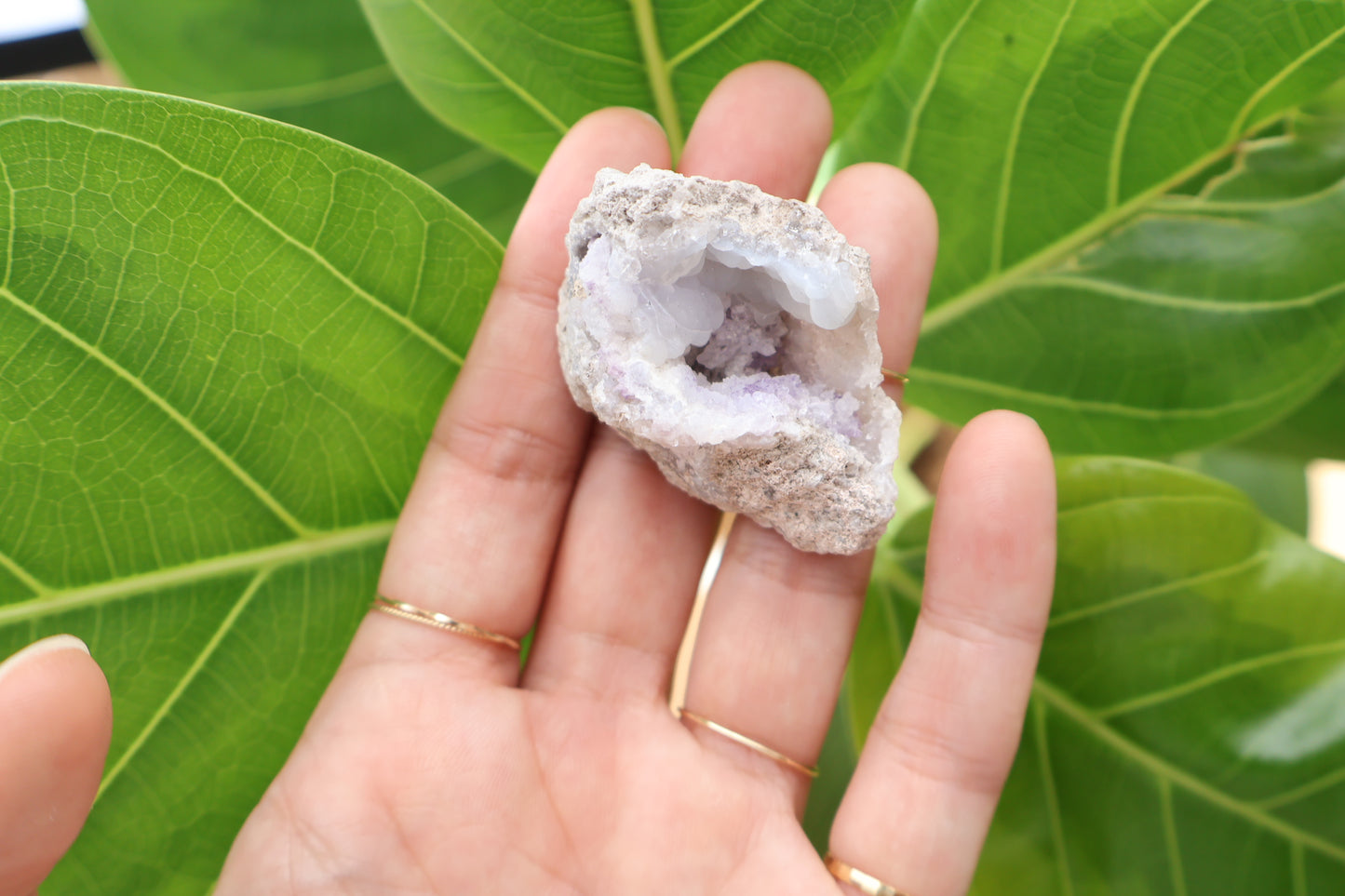 Spirit Flower Geode ~Shell shape~