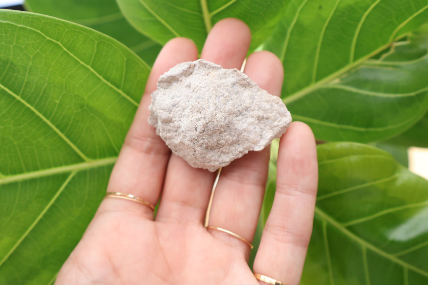 Spirit Flower Geode ~Shell shape~